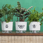 Vaso Autoirrigável Abelha 12x11cm Branco