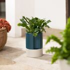 Vaso Autoirrigavel Alto Em Ceramica Azu