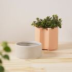 Vaso Autoirrigavel Alto Em Ceramica Ros