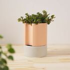 Vaso Autoirrigavel Alto Em Ceramica Ros