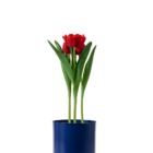 Vaso Autoirrigável Alumínio Colors Azul