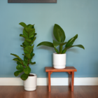 Vaso Autoirrigável Alumínio Colors Branco