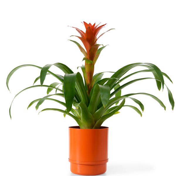 Vaso Autoirrigável Alumínio Colors Laranja