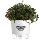 Vaso Autoirrigável Borboleta 12x11cm Branco