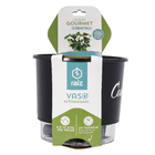 Vaso Autoirrigável Coentro Preto 14x16cm