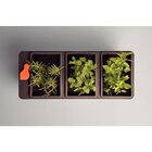 Vaso Autoirrigável Com Divisórias Tramontina Em Polipropileno