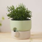 Vaso Autoirrigavel Em Ceramica Verde