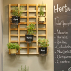 Vaso Autoirrigável Hortelã Preto 14x16cm Raiz