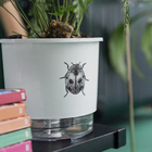 Vaso Autoirrigável Joaninha 12x11cm Branco