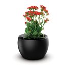 Vaso Autoirrigável Médio Completo Botanika Preto