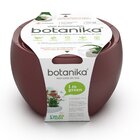 Vaso Autoirrigável Médio Completo Botanika Vermelho