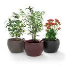 Vaso Autoirrigável Médio Completo Botanika Vermelho