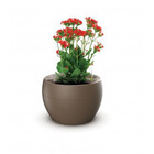 Vaso Autoirrigável Médio Marrom - Botanika