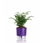 Vaso Autoirrigável N03 Azul