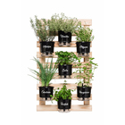 Vaso Autoirrigável Orégano Preto 14x16cm