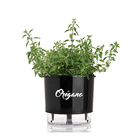 Vaso Autoirrigável Orégano Preto 14x16cm