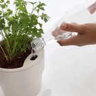 Vaso Autoirrigável Ou Plantar Grande Bege