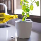 Vaso Autoirrigável Ou Plantar Grande Bege