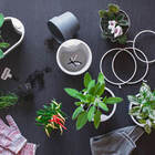 Vaso Autoirrigável Ou Plantar Grande Bege