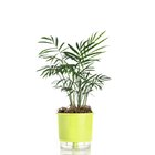 Vaso Autoirrigável Pequeno 12,6cm X 11,4 - Coleção Rainbow Ve