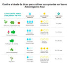 Vaso Autoirrigável Pequeno N02 12,6cm X 11,4 - Cores Clássica