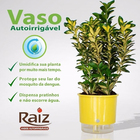 Vaso Autoirrigável Pequeno N02 12,6cm X 11,4 - Cores Clássica
