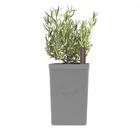 Vaso Autoirrigável Tramontina Em Polipropileno Cinza 800 Ml