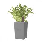 Vaso Autoirrigável Tramontina Em Polipropileno Cinza 800 Ml