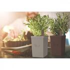 Vaso Autoirrigável Tramontina Em Polipropileno Cinza 800 Ml