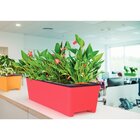 Vaso Autoirrigável Tramontina Em Polipropileno Rosa 12 L Tram