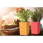 Vaso Autoirrigável Tramontina Em Polipropileno Rosa 800 Ml Tr