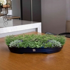 Vaso Bacia Decorativo Osaka Azul Perolizado P 7x46x35 Cm - D'