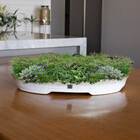 Vaso Bacia Decorativo Osaka Branco Gold Viatnamita P 7x46x35