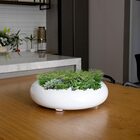 Vaso Bacia Decorativo Redondo Branco M 13x40 Cm - D'rossi