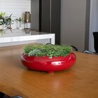 Vaso Bacia Decorativo Redondo Em Fibra Vermelho Lira P 8 Cm -