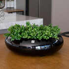 Vaso Bacia Decorativo Redondo Preto M 13x40 Cm - D'rossi