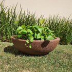 Vaso Bacia P/ Rosa Do Deserto e Plantas 32cm Marrom