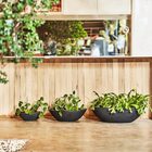 Vaso Bacia P Preto Absoluto