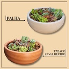 Vaso Bacia Para Planta Suculenta 33X10cm Marrom