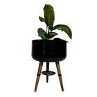 Vaso Bacia Plantas De Polietileno Com Tripé Madeira 39x21cm -