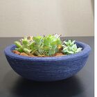 Vaso Bacia Polietileno P/ Plantas E Suculentas 23cm Azul