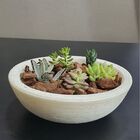 Vaso Bacia Polietileno P/ Plantas E Suculentas 23cm Bege