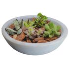 Vaso Bacia Polietileno P/ Plantas E Suculentas 23cm Cinza