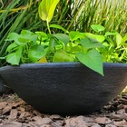 Vaso Bacia Polietileno p/ Plantas E Suculentas 49x15cm Preto