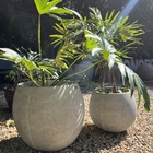 Vaso Bola De Concreto 36x30 P - Green Globe