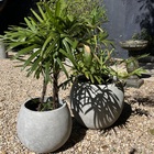 Vaso Bola De Concreto 45x40 M - Green Globe