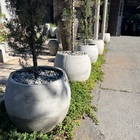 Vaso Bola De Concreto 58x53 G - Green Globe