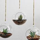 Vaso Bola Suspenso (extra Grande) Injeplastec