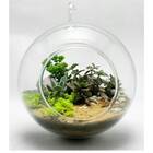 Vaso Bola Suspenso Grande Injeplastec