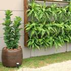 Vaso Bollati (40x39) Cor Granito Areia Vasart